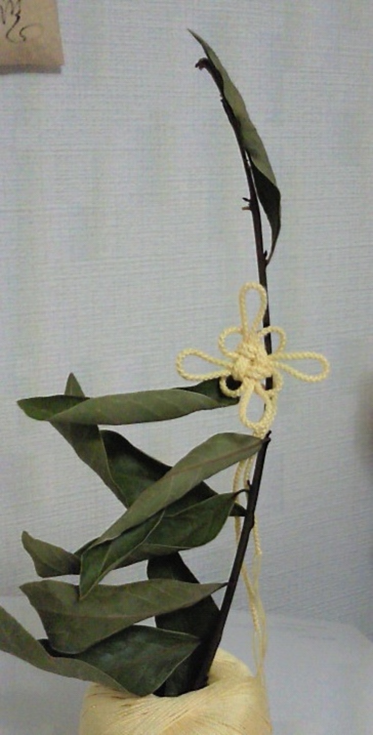 日本传统编绳指导