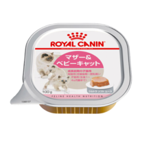 [售罄] Royal Canin FHN -WET 幼猫专用猫粮 100g x 6