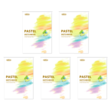 Holbein Purpose-Specific Sketchbook for Pastels YPS-A4 – Set of 5